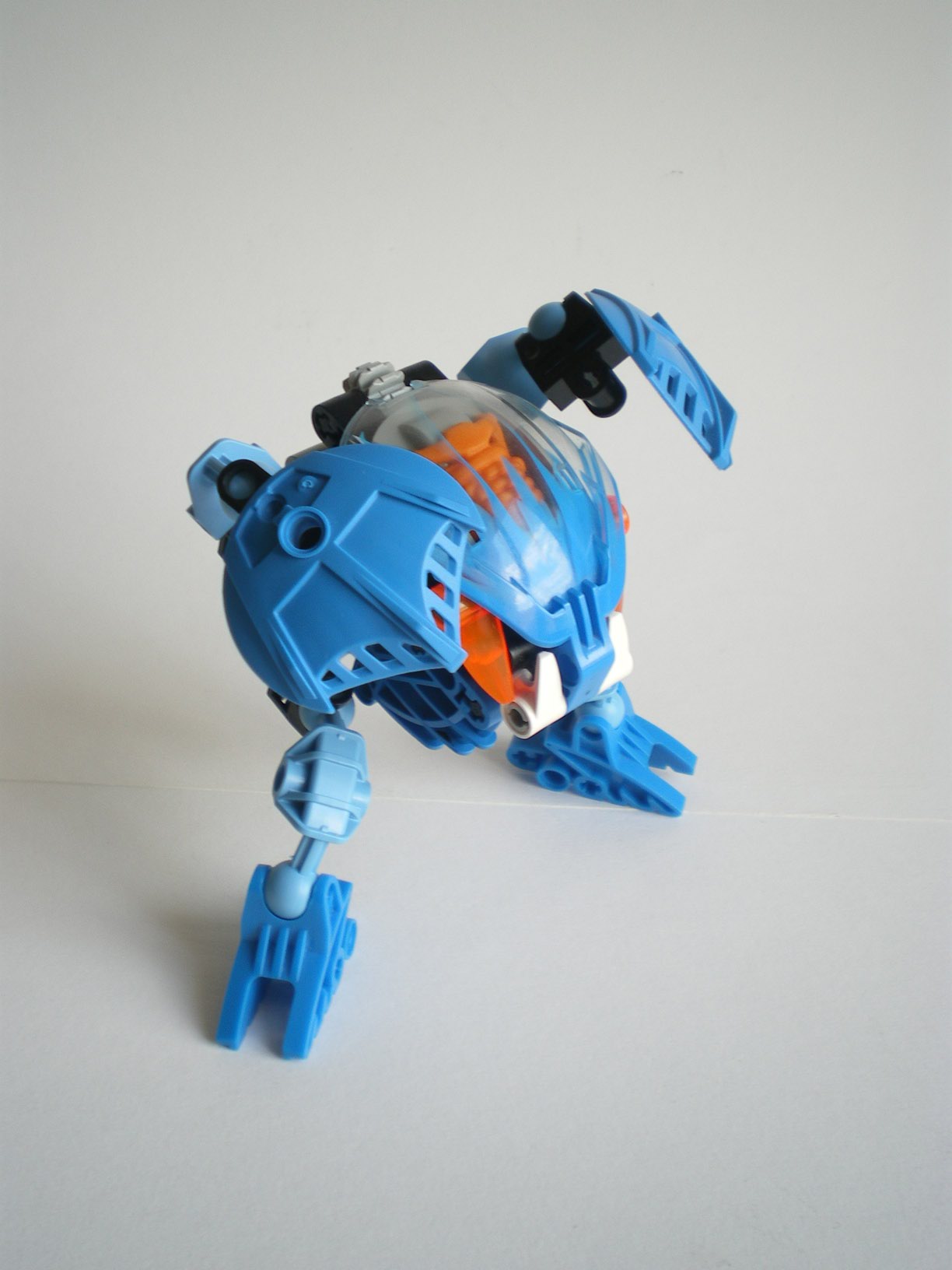 imgp7177.jpg