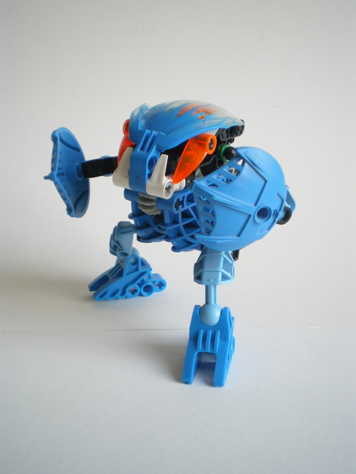 imgp7181.jpg