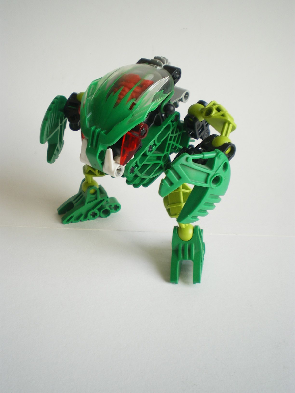 imgp7223.jpg