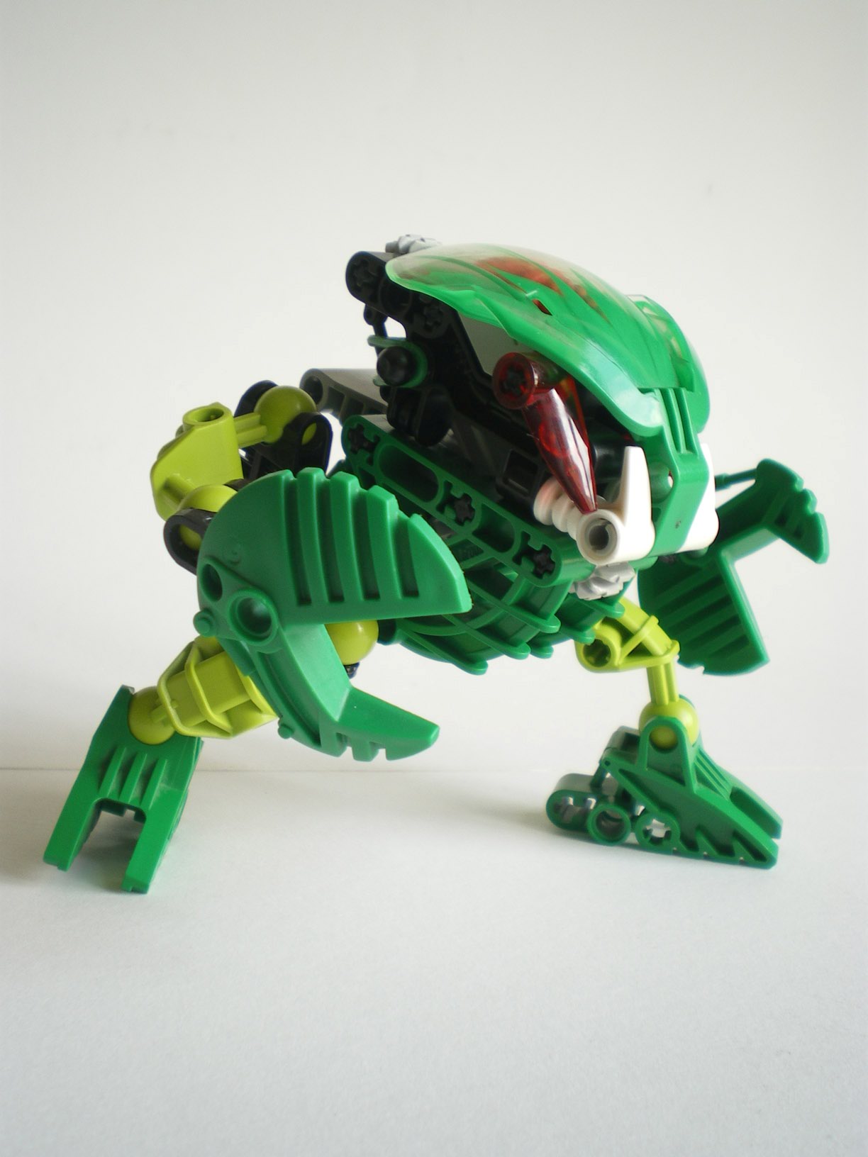 imgp7228.jpg