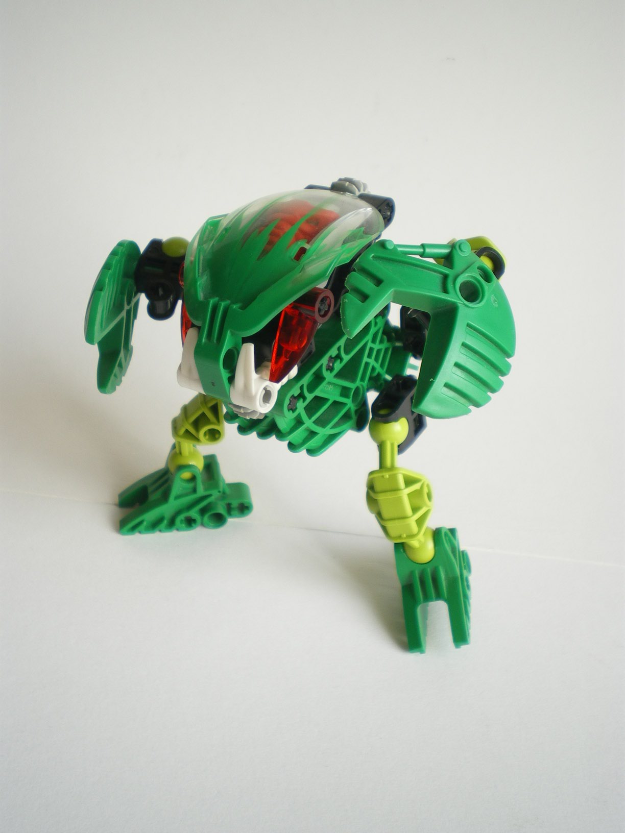 imgp7230.jpg