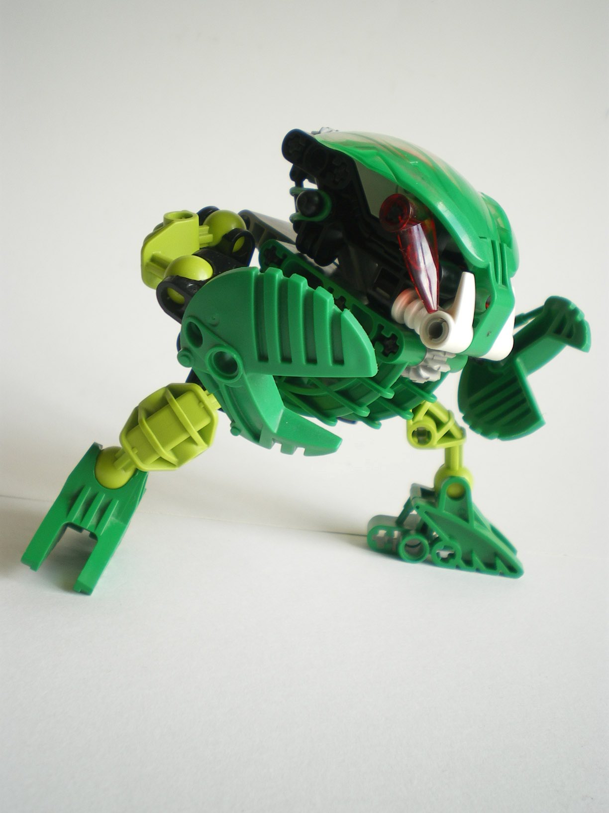 imgp7236.jpg