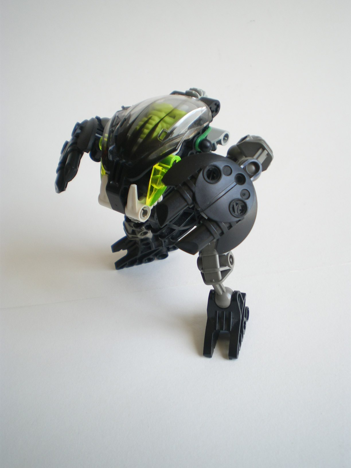 imgp7286.jpg