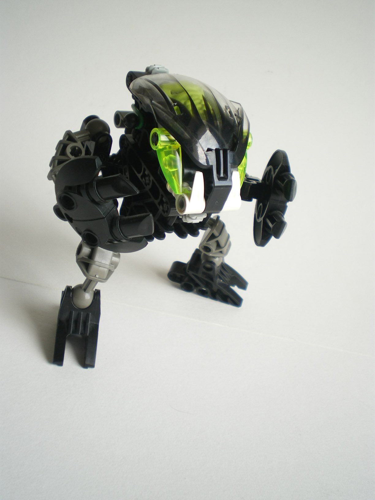 imgp7295.jpg