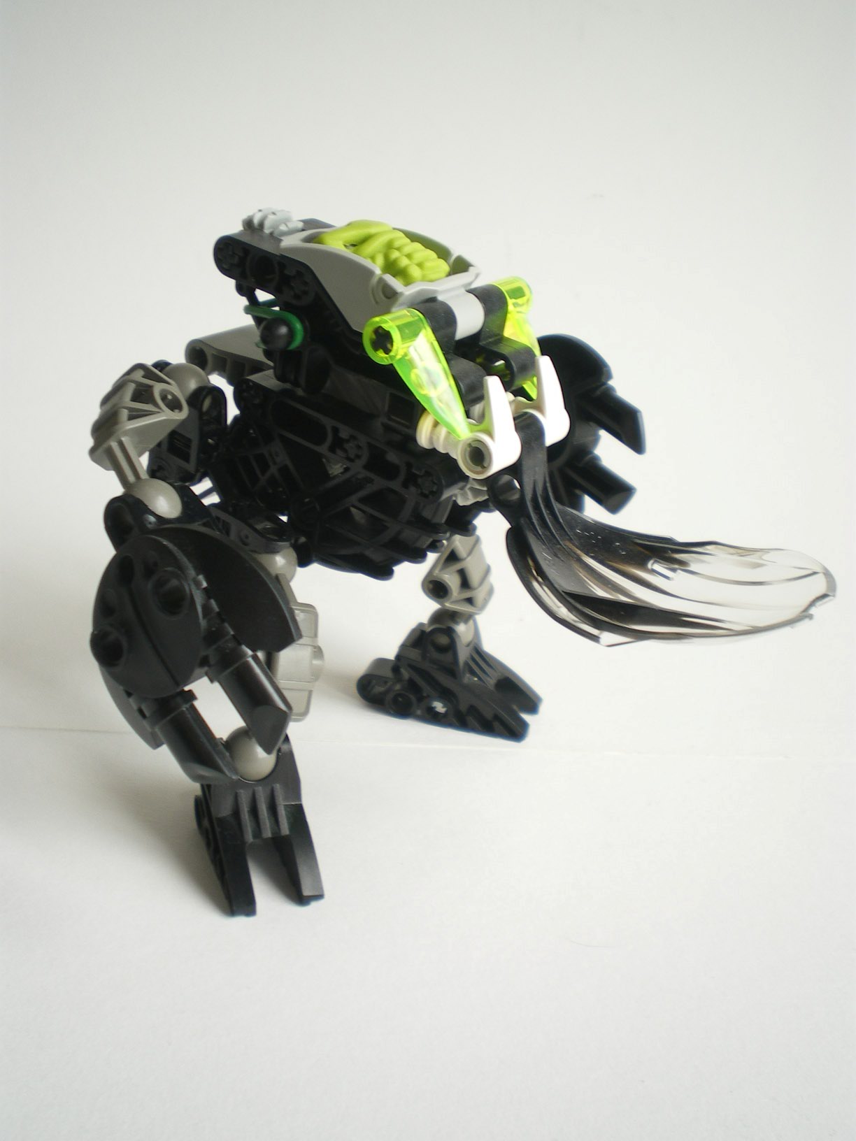 imgp7298.jpg