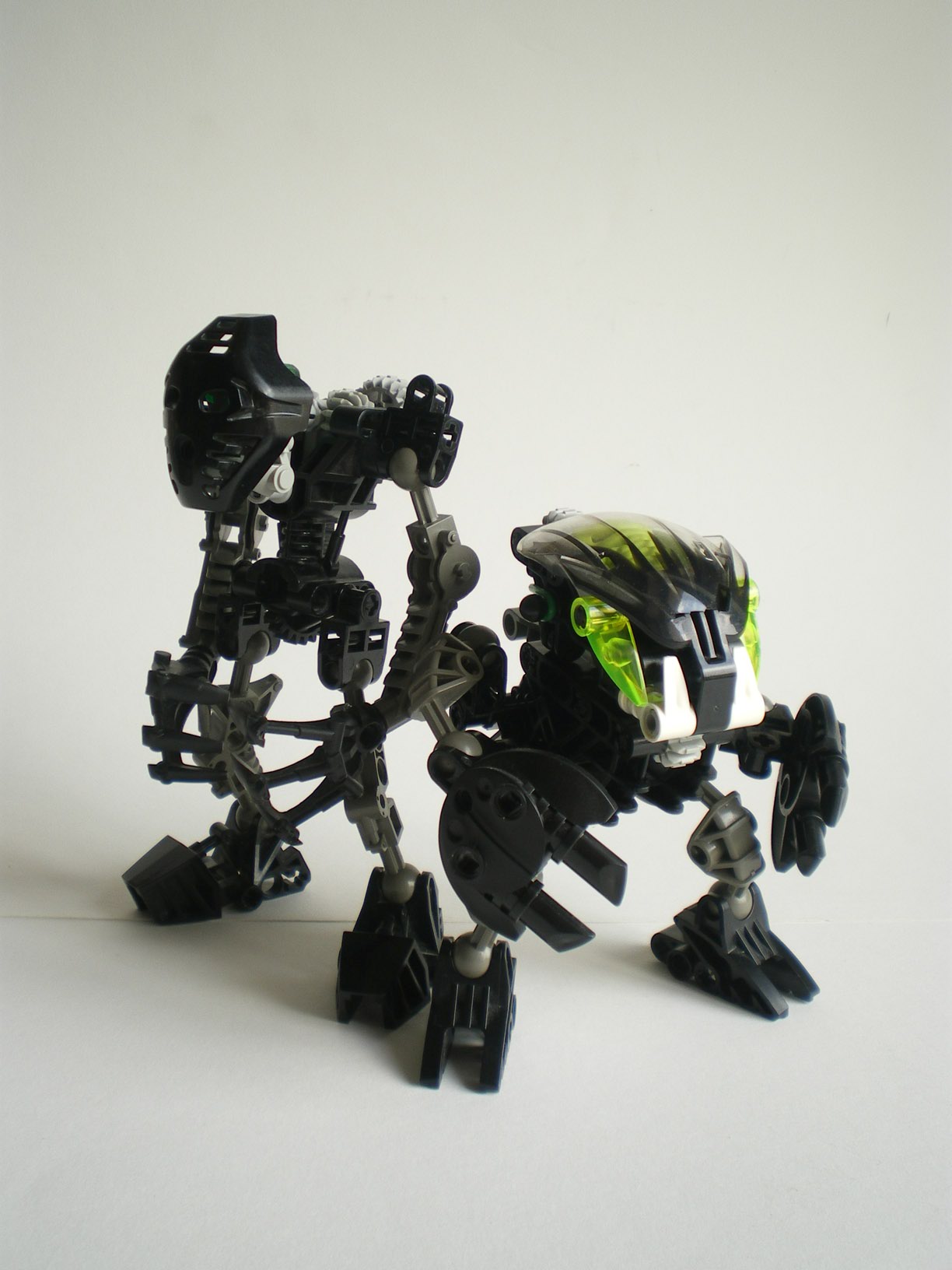 imgp7304.jpg