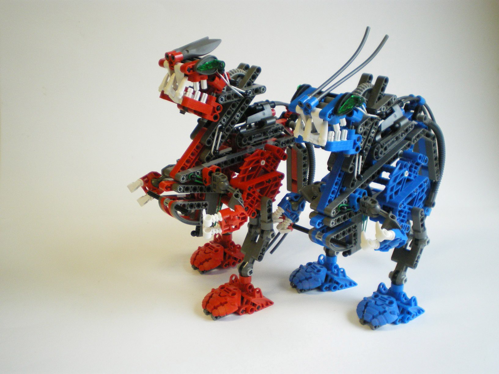 imgp0000.jpg