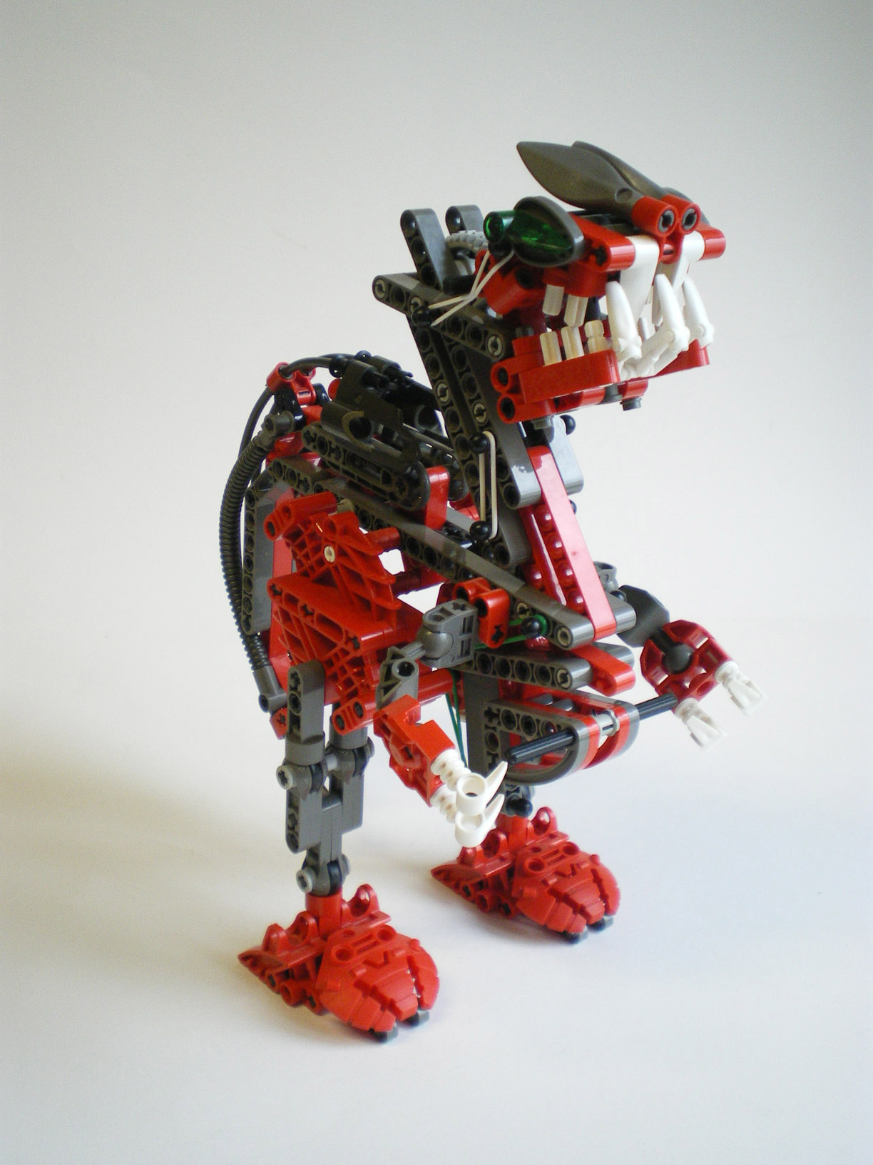 imgp2465.jpg