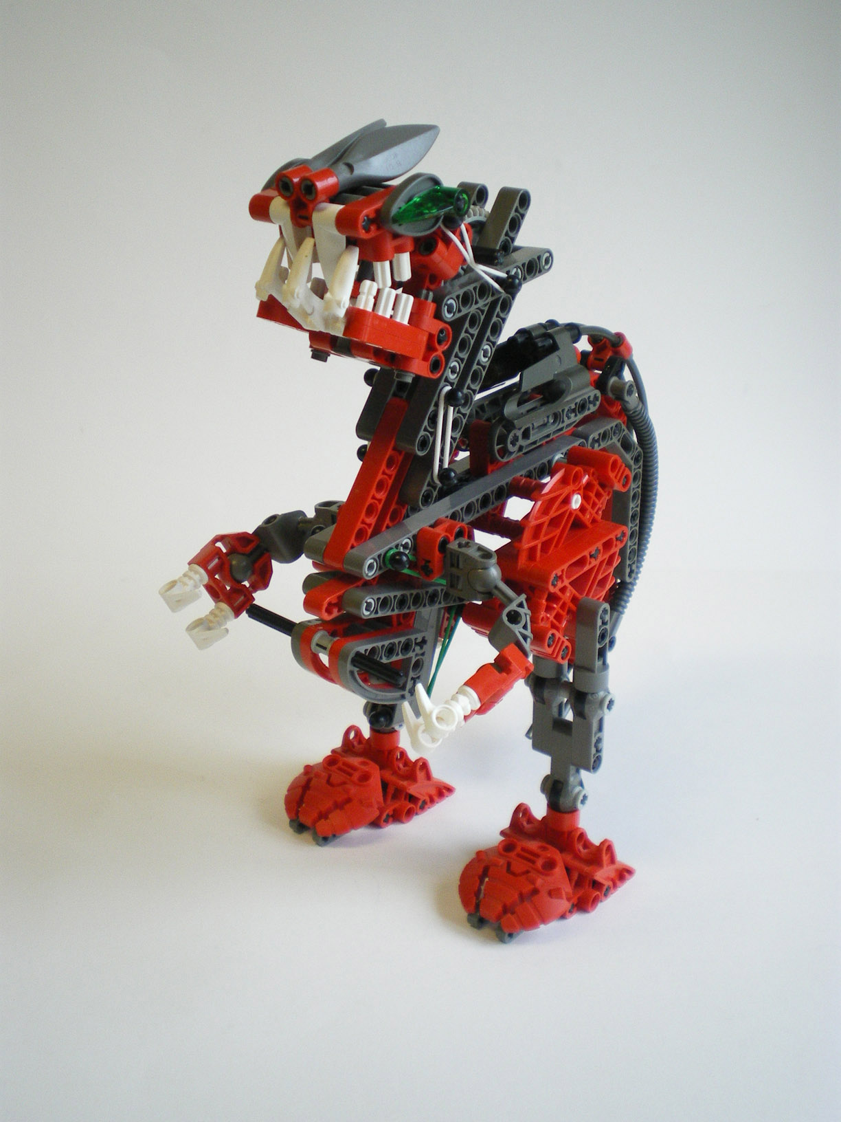 imgp2471.jpg