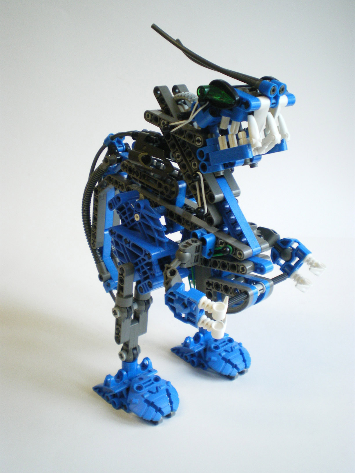imgp2498.jpg