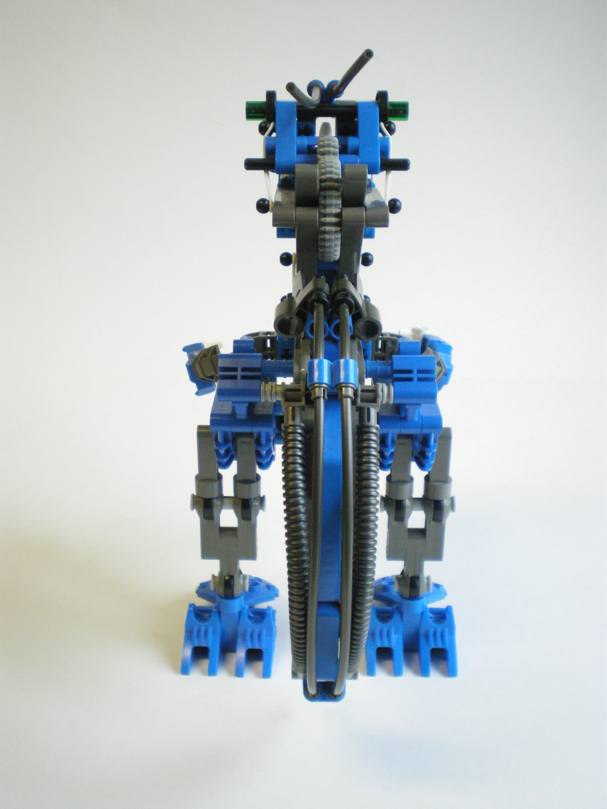 imgp2503.jpg