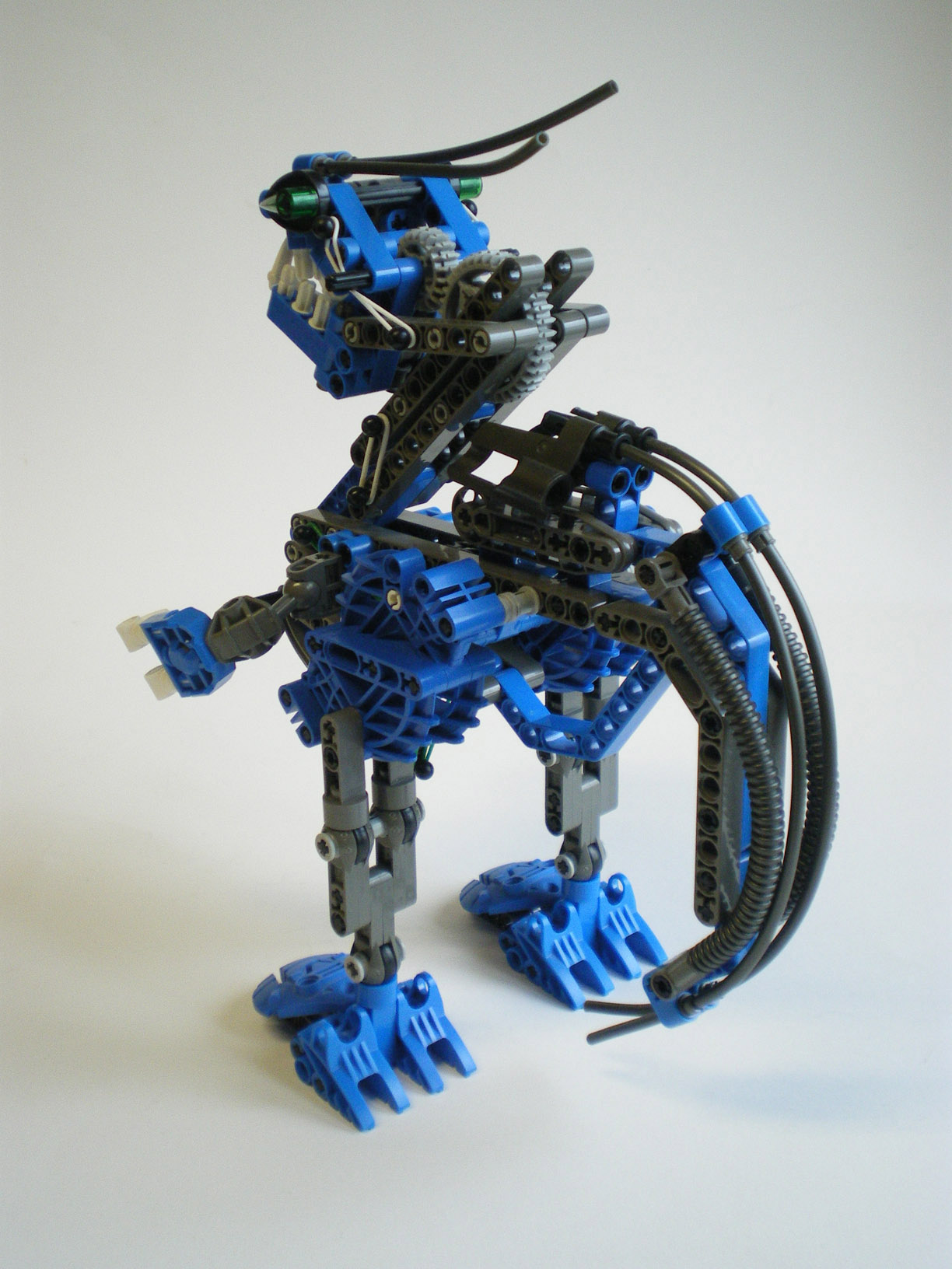 imgp2504.jpg