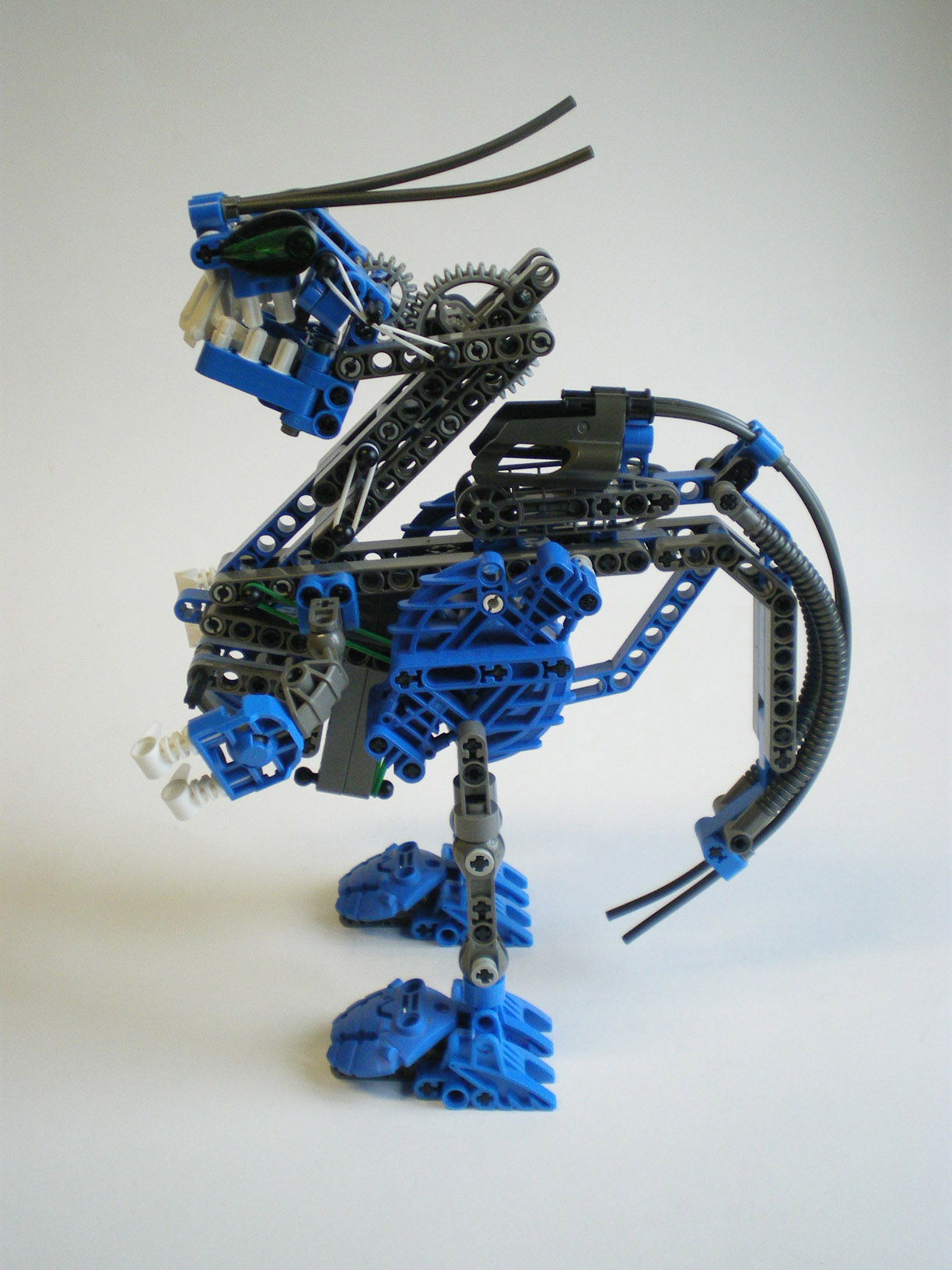imgp2505.jpg