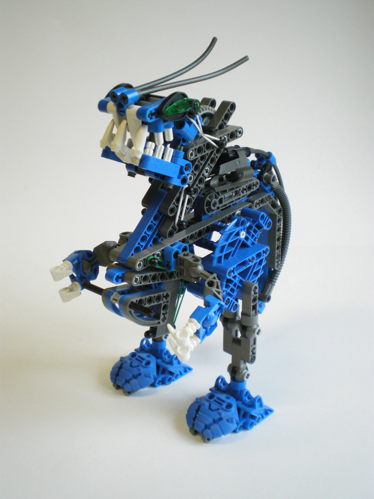 imgp2506.jpg