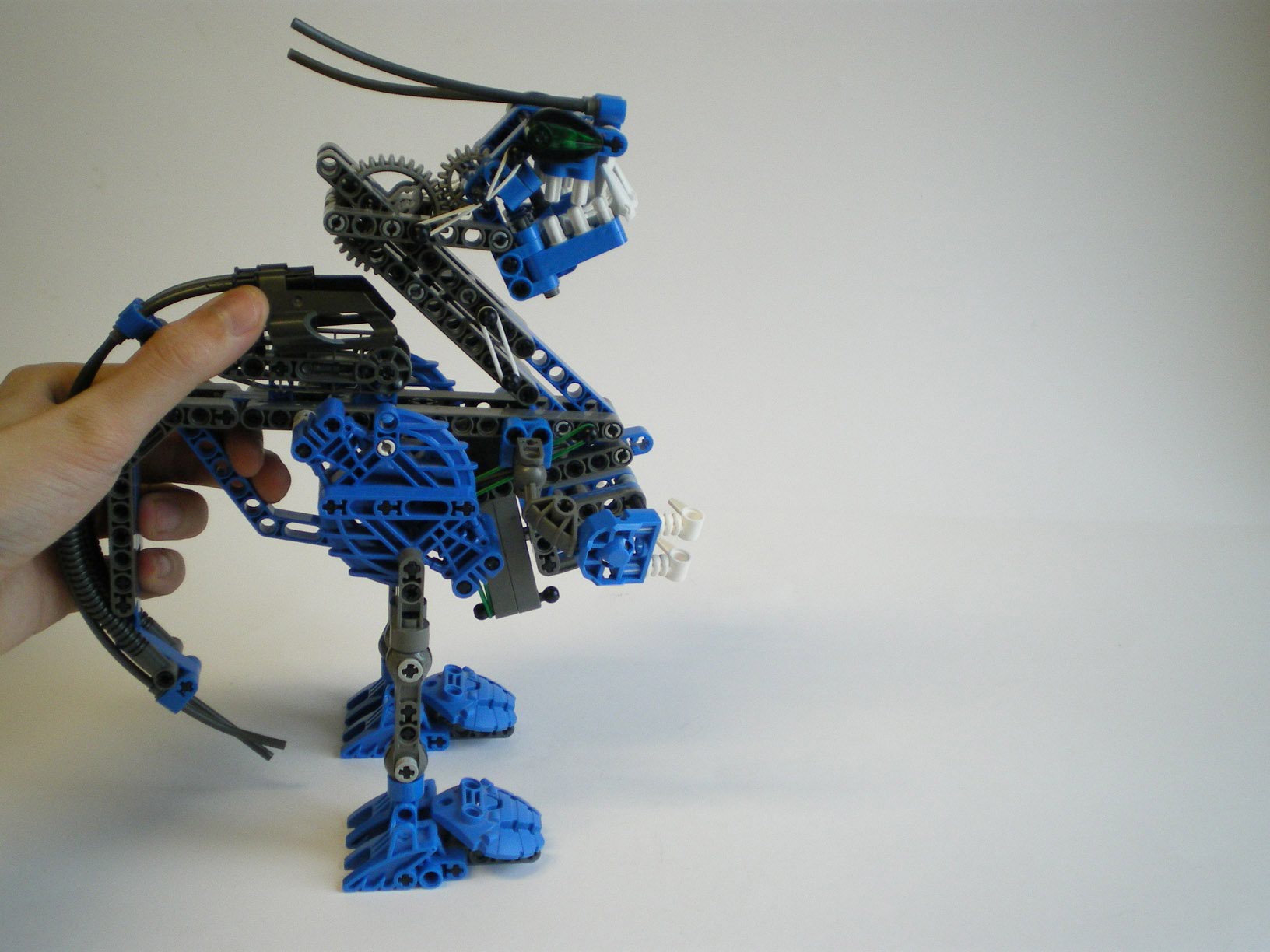 imgp2507.jpg