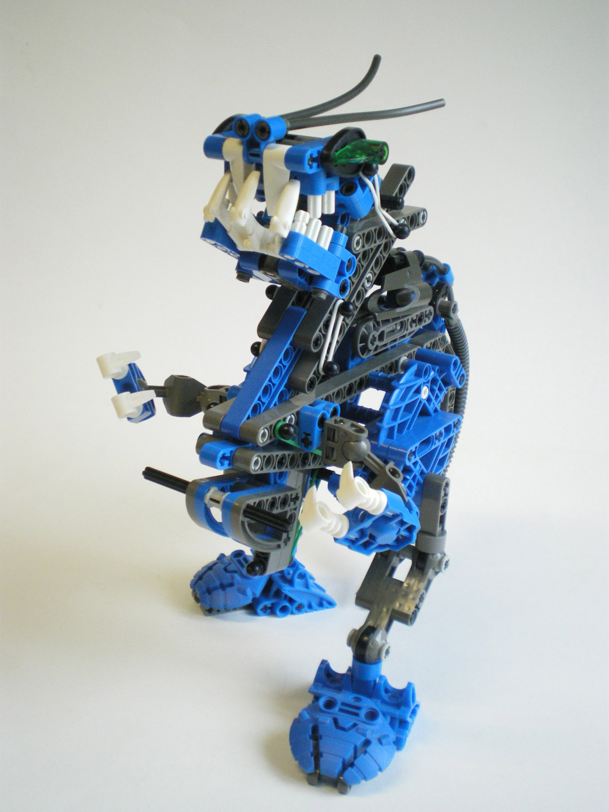 imgp2512.jpg