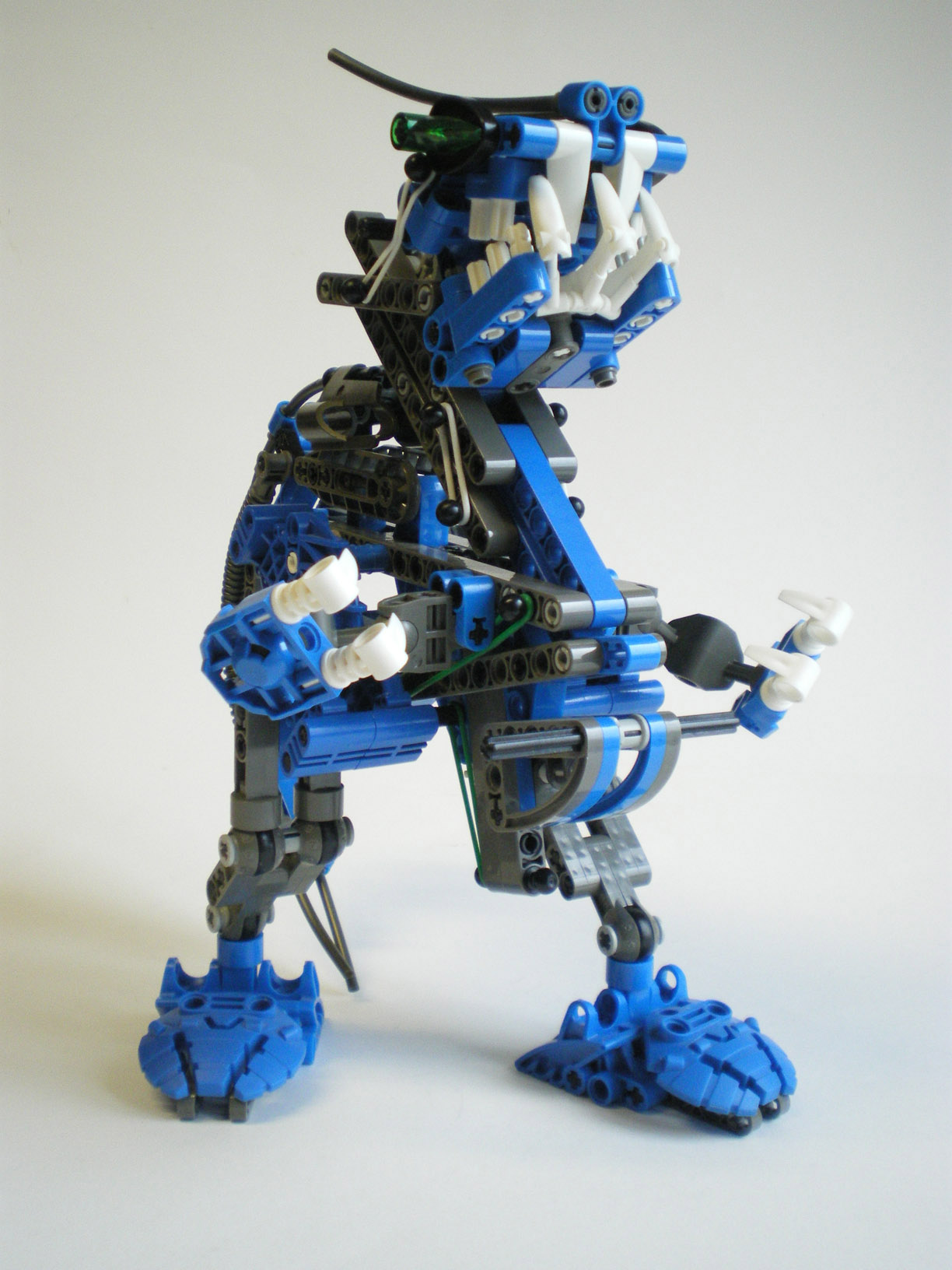 imgp2514.jpg