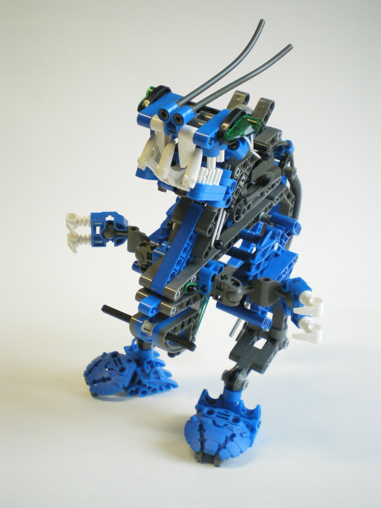 imgp2518.jpg