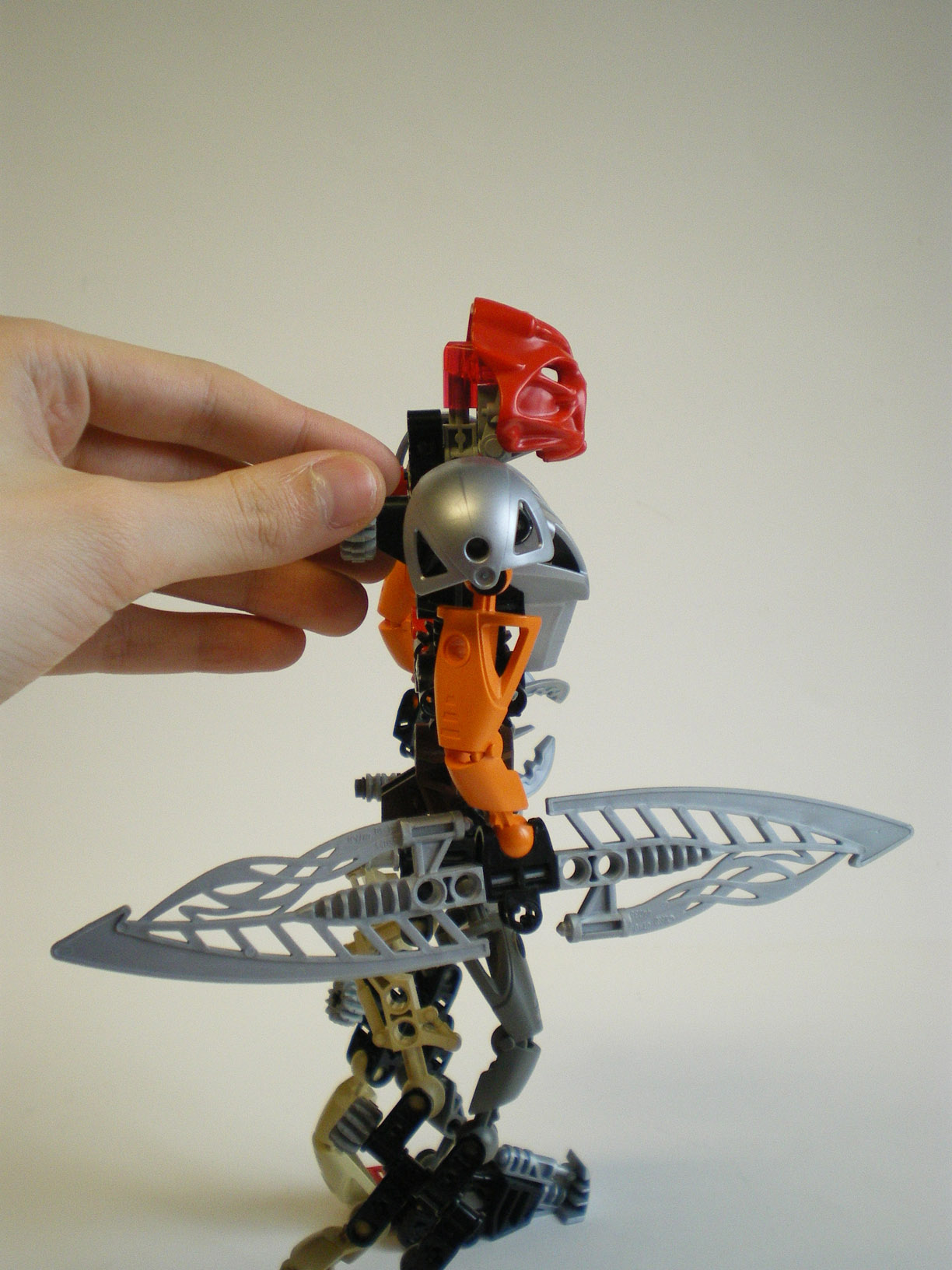 imgp8060.jpg
