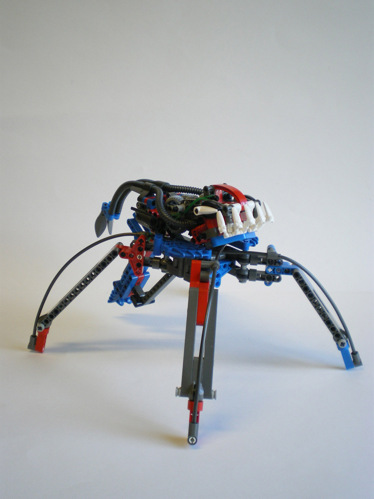 imgp8214.jpg