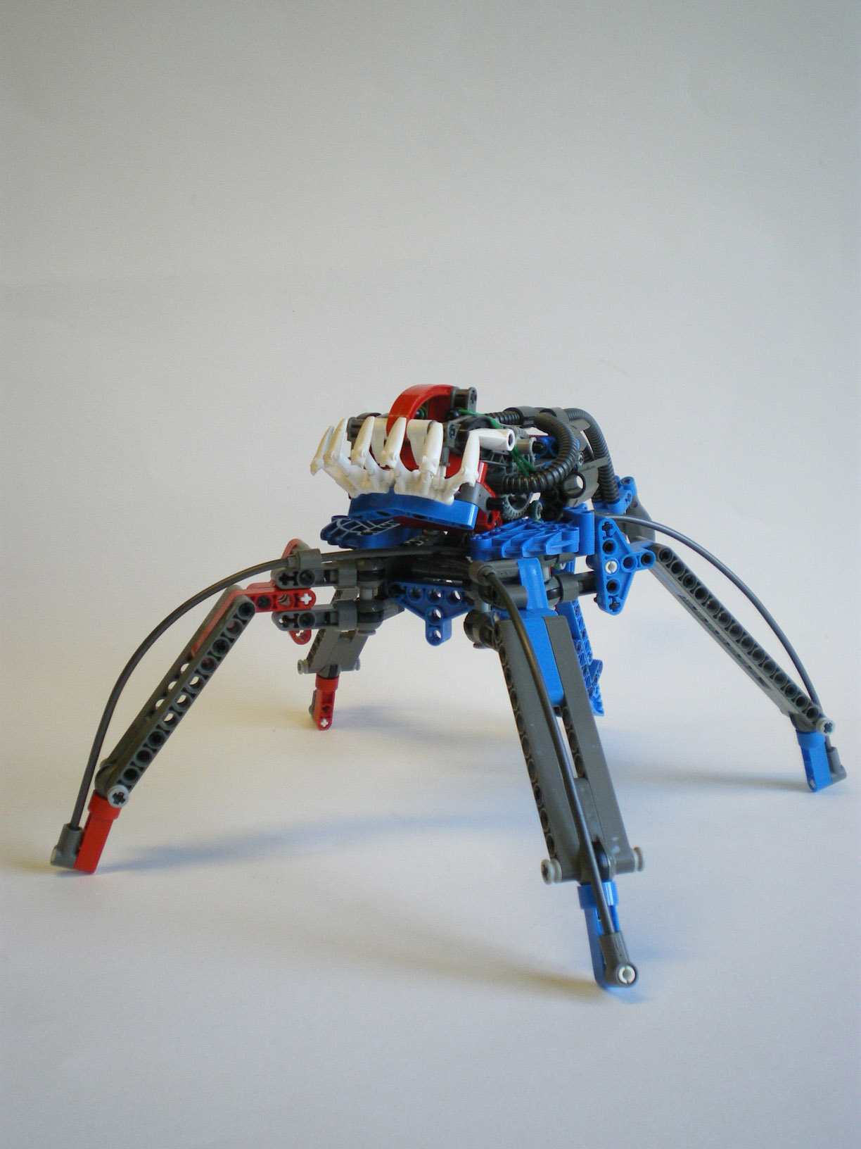 imgp8227.jpg