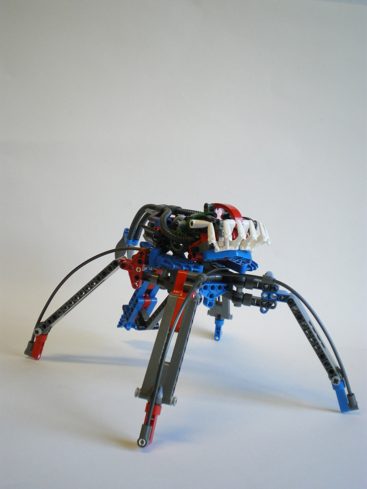 imgp8228.jpg