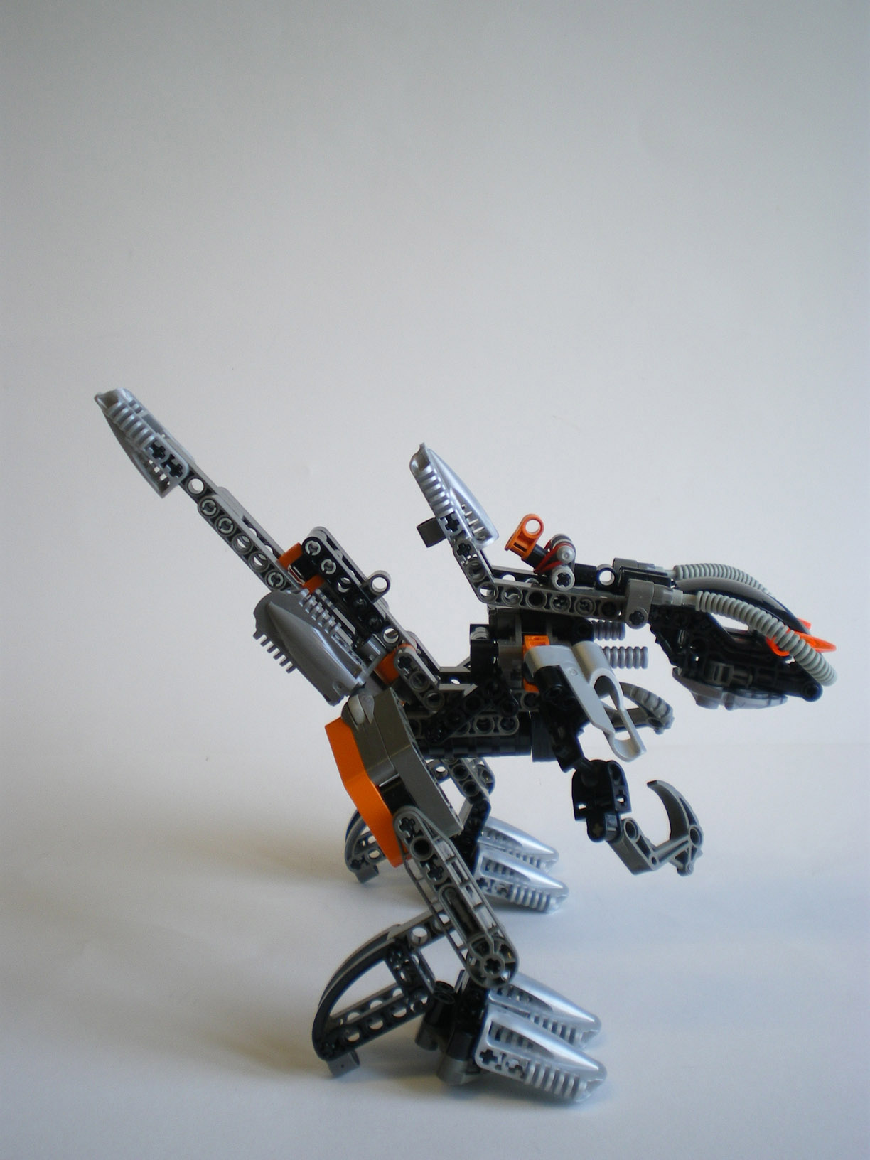 imgp8316.jpg