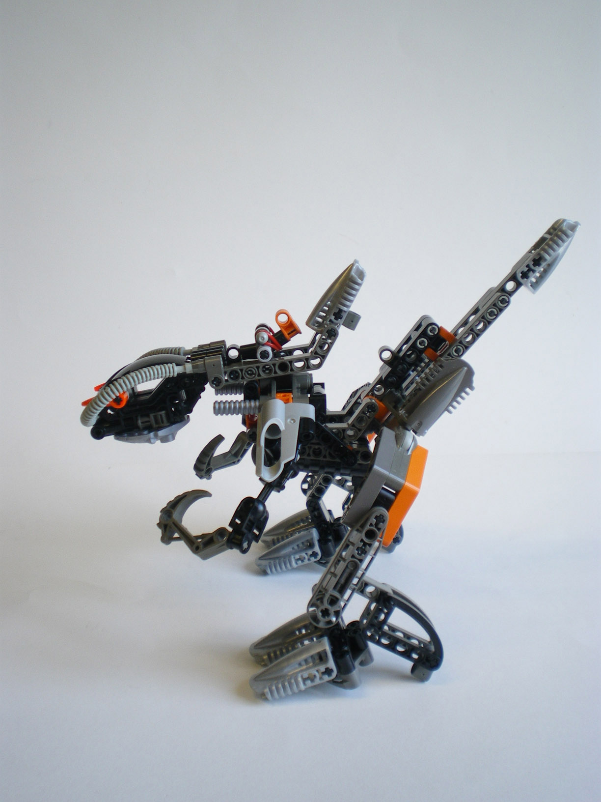 imgp8320.jpg