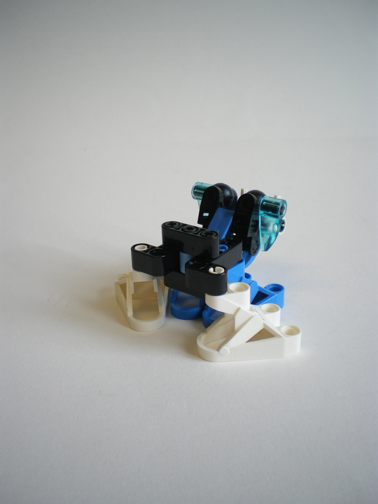 imgp8098.jpg
