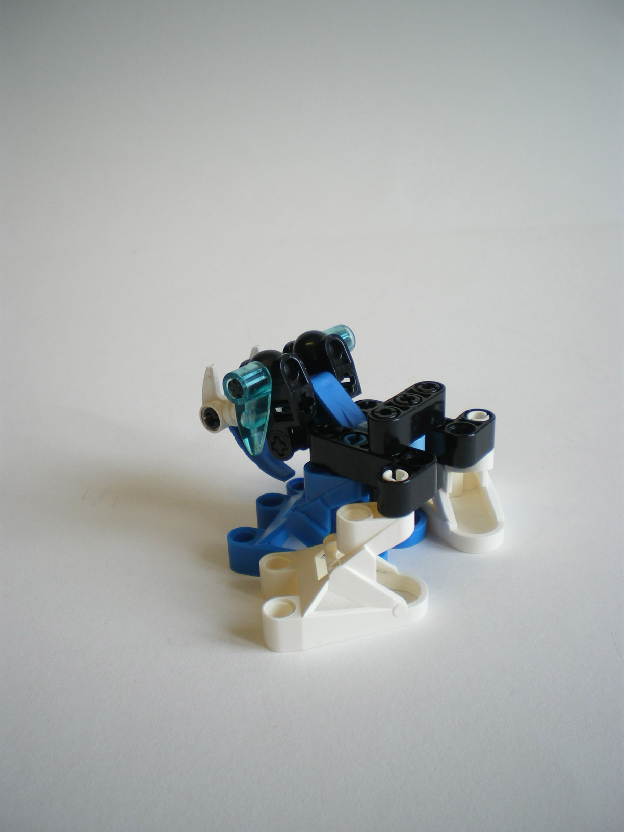 imgp8100.jpg