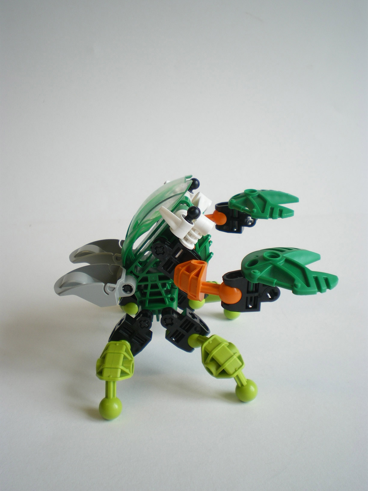 imgp8262.jpg