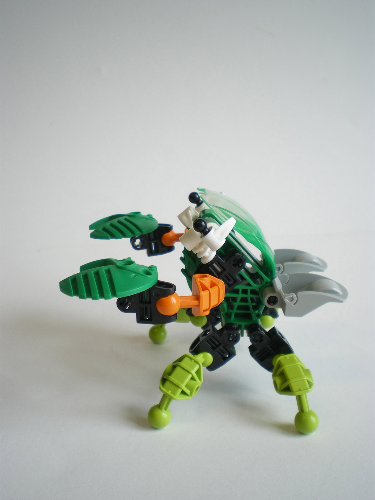 imgp8266.jpg