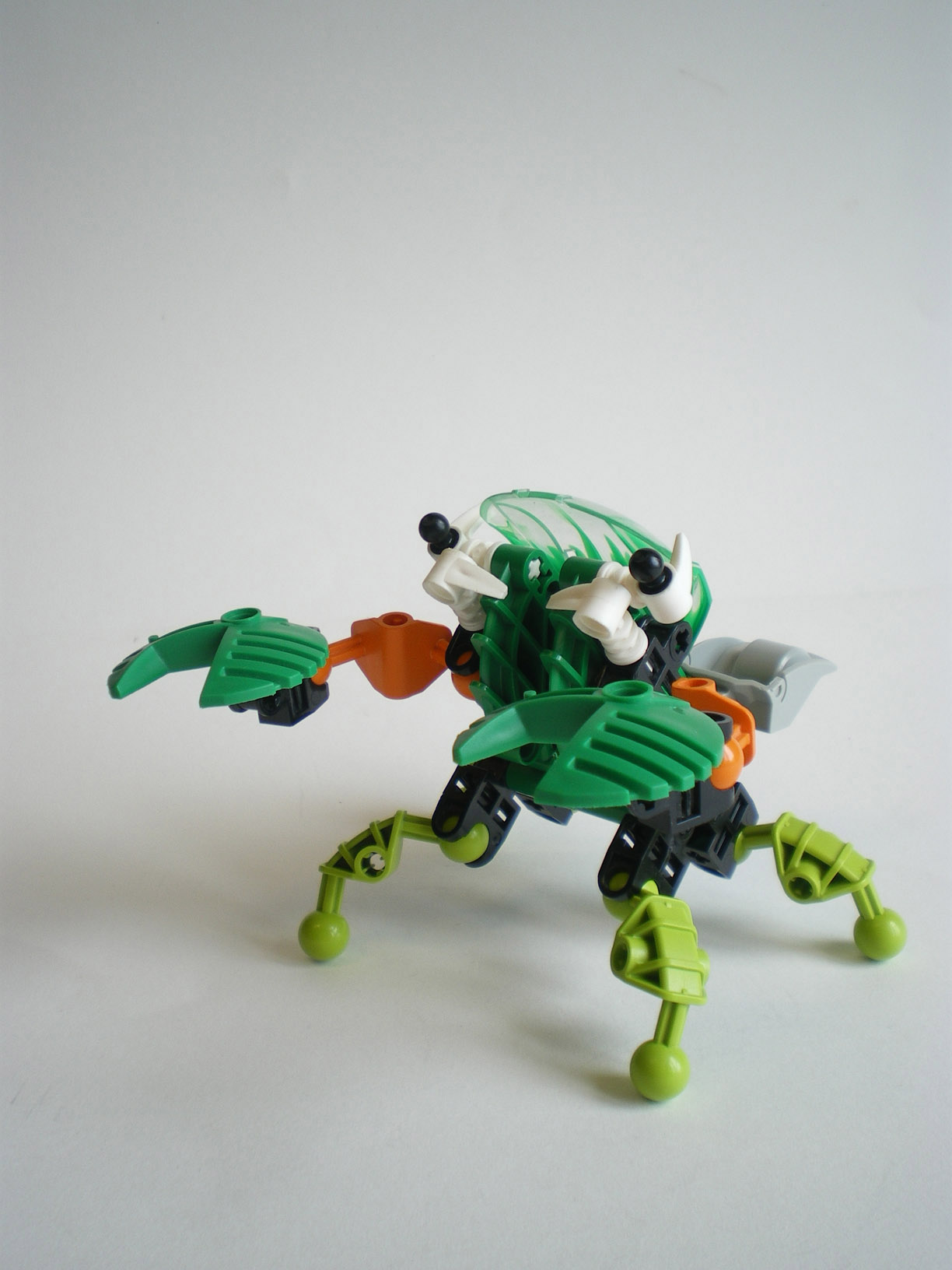 imgp8267.jpg