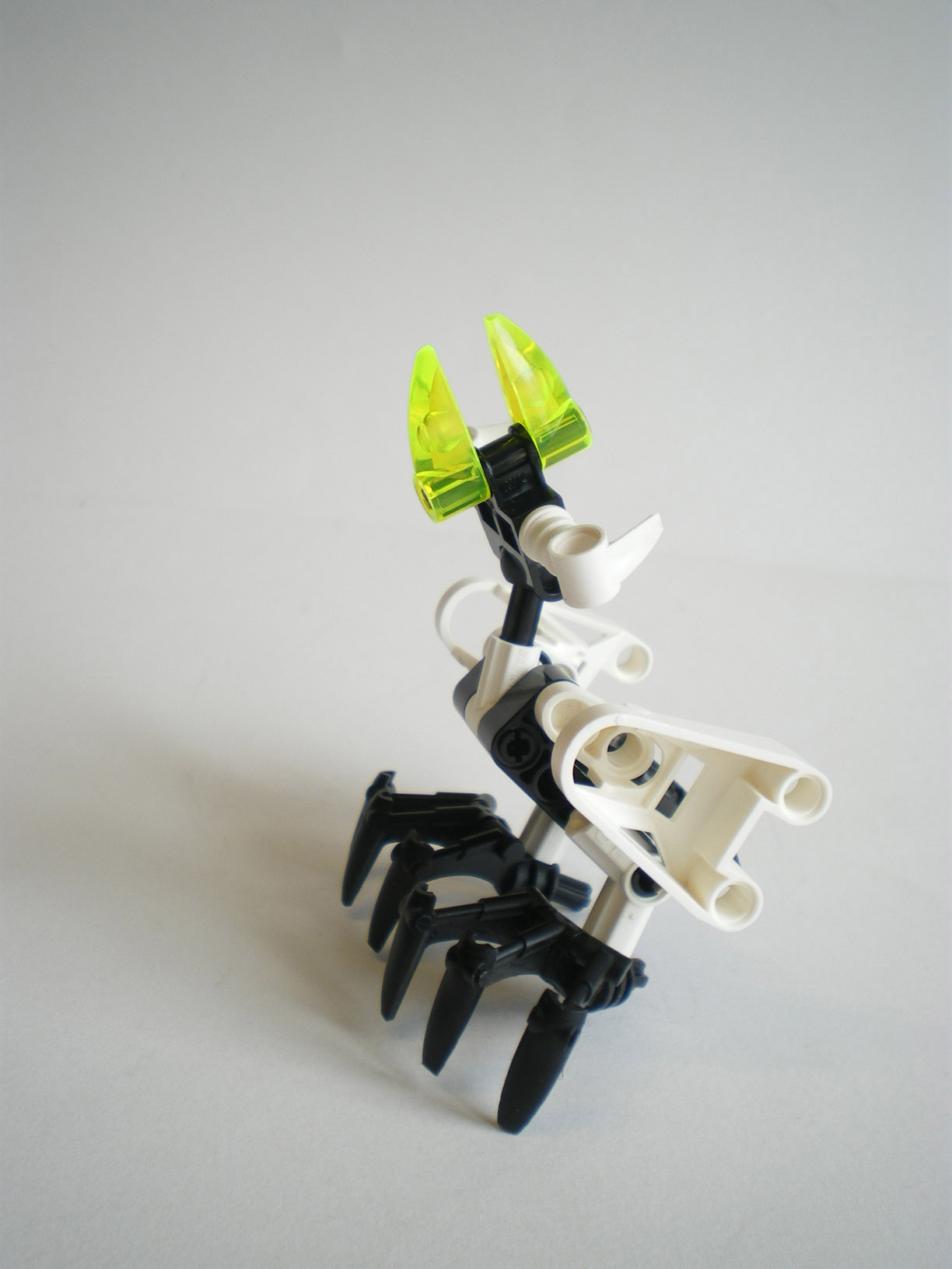 imgp8255.jpg