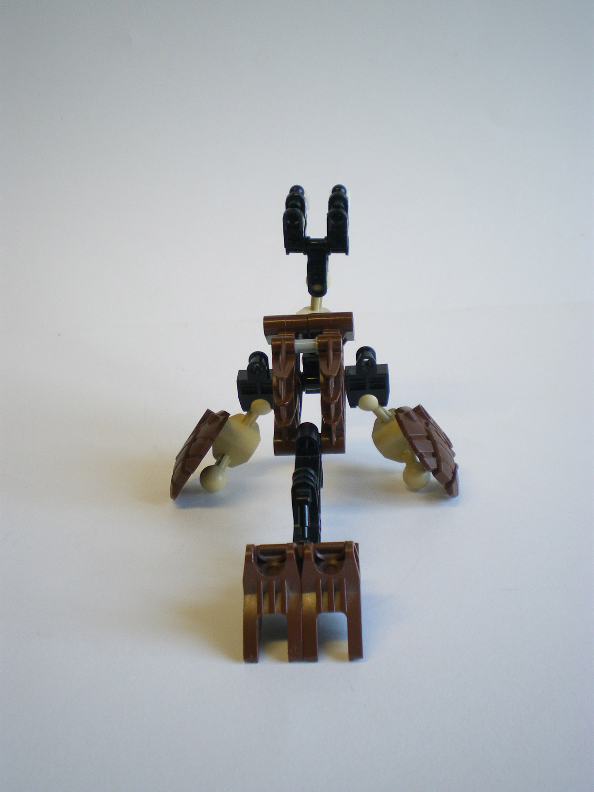imgp8204.jpg