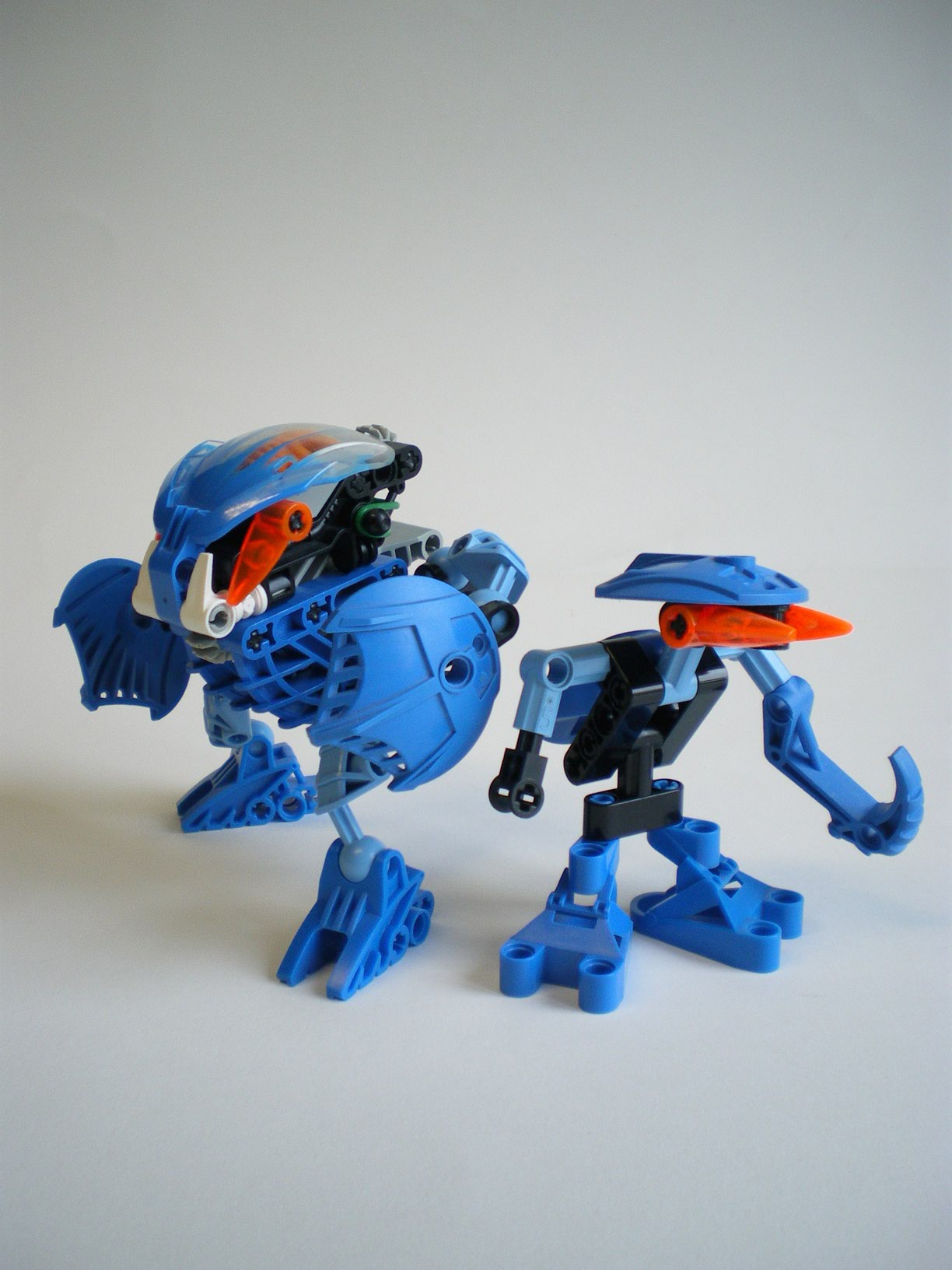imgp7403.jpg