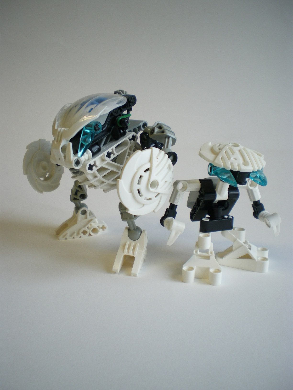 imgp7405.jpg