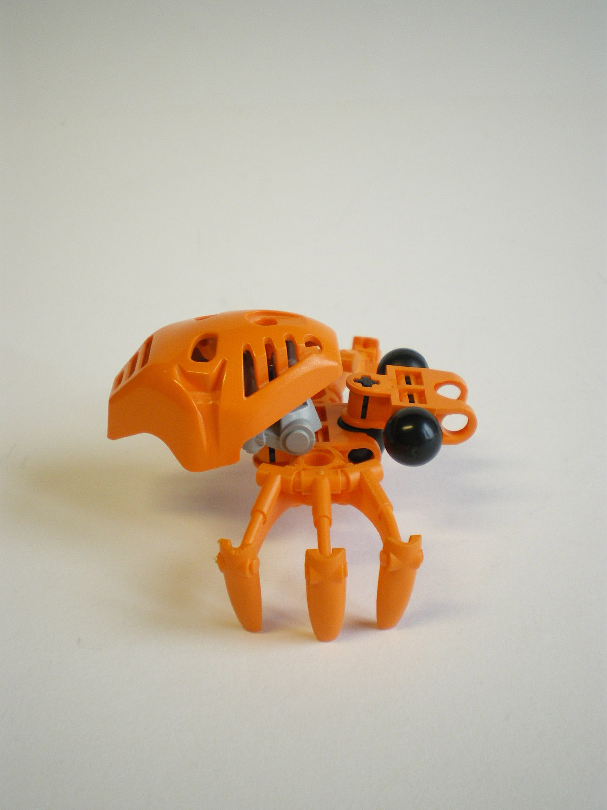 imgp7964.jpg