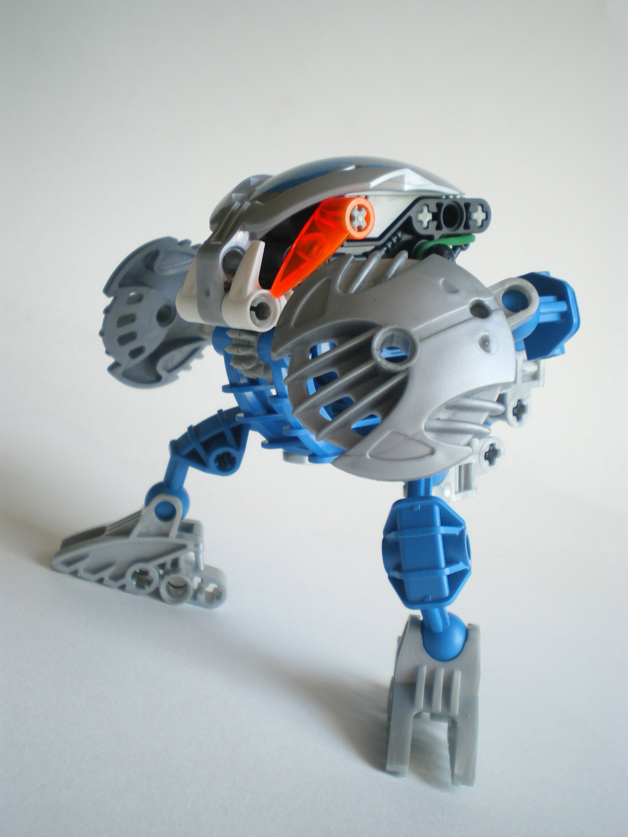 imgp7951.jpg