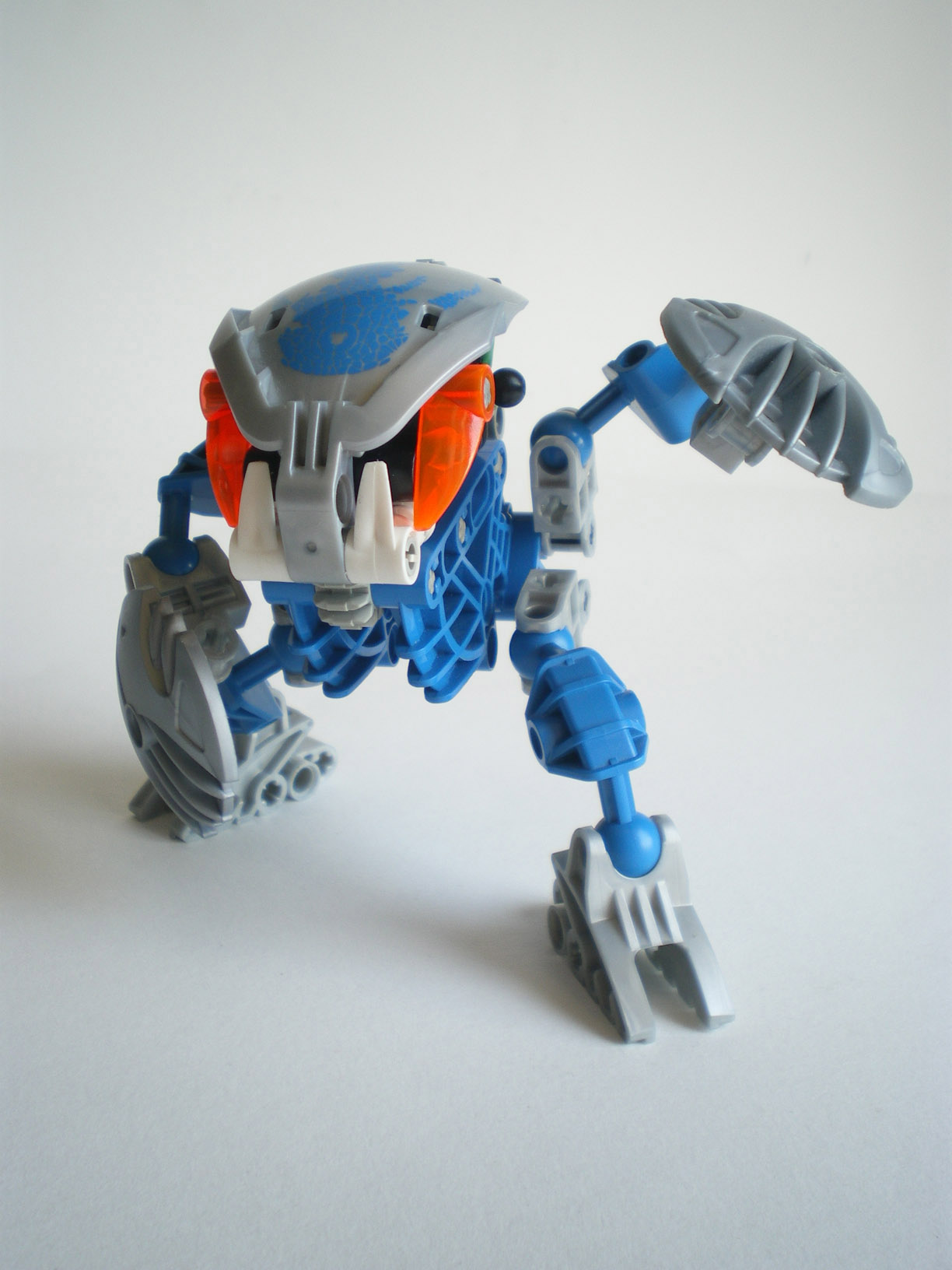 imgp7955.jpg
