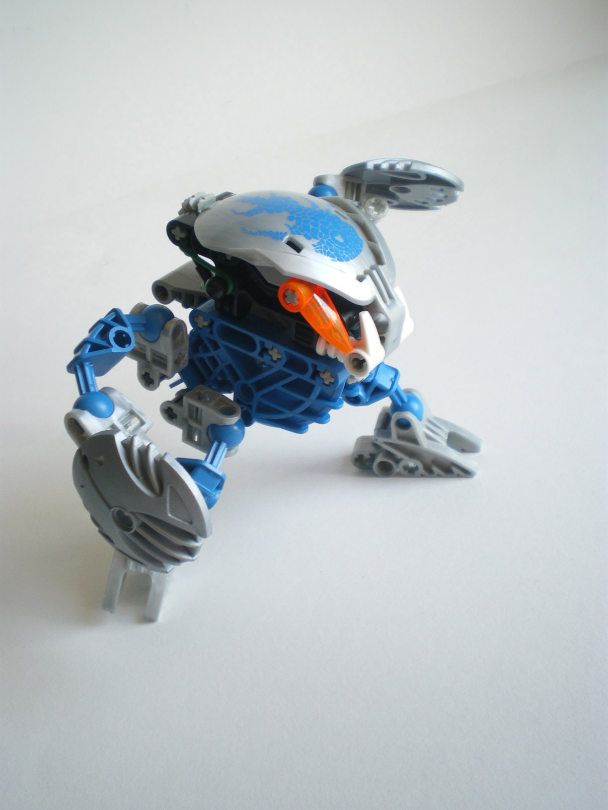 imgp7956.jpg