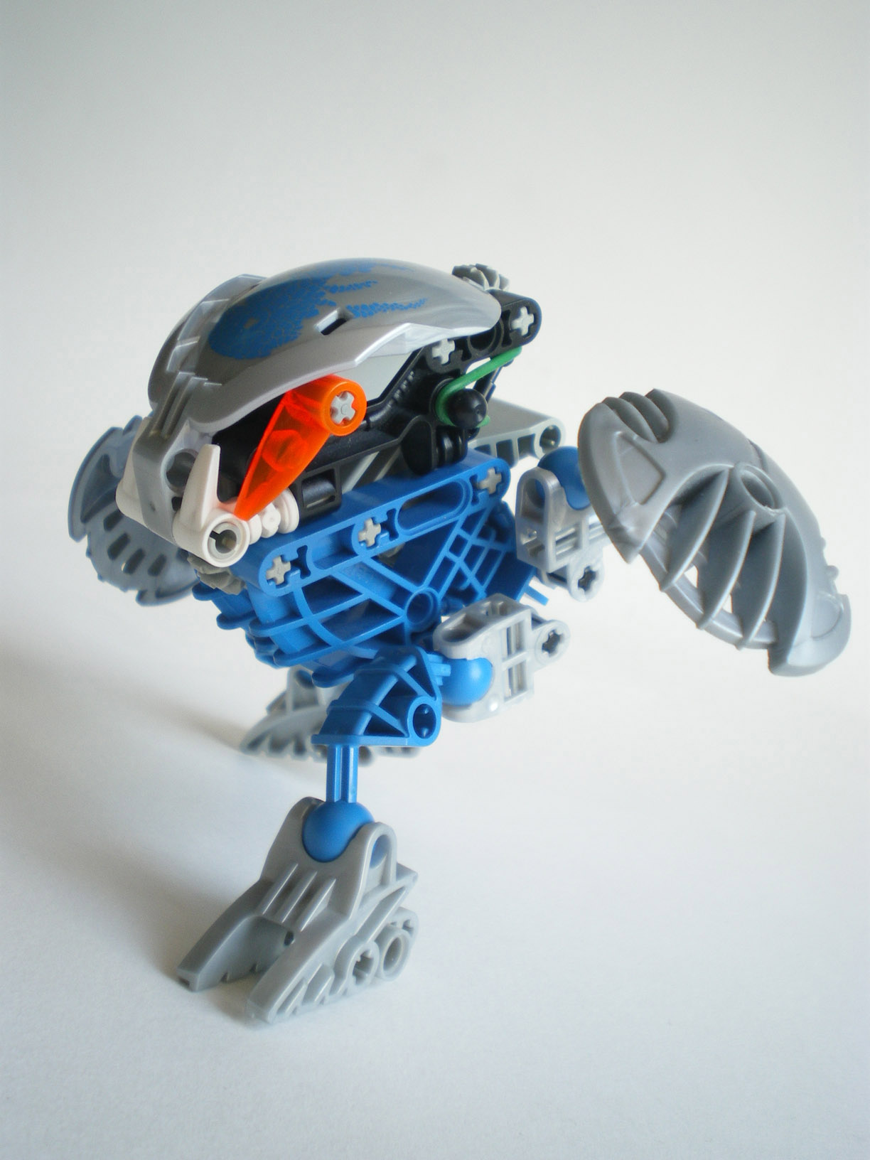 imgp7958.jpg