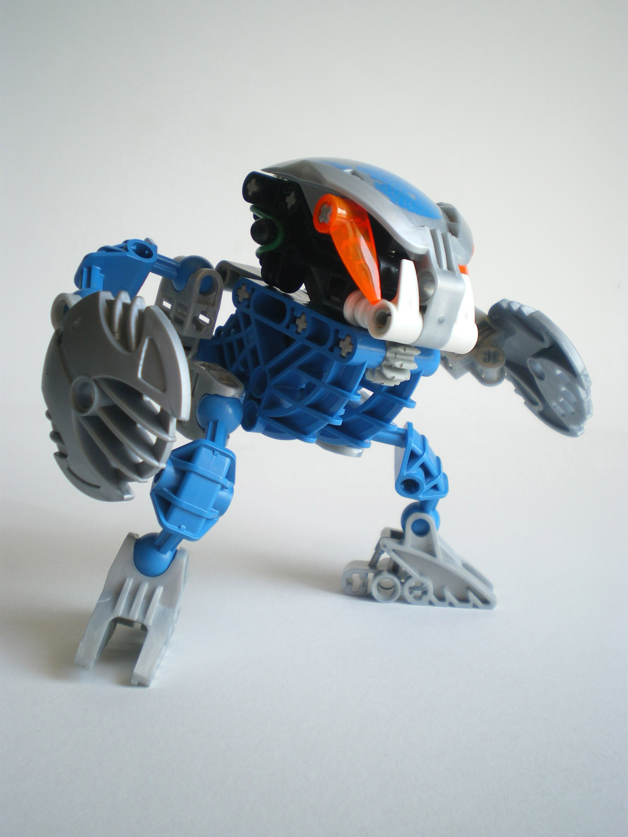 imgp7962.jpg