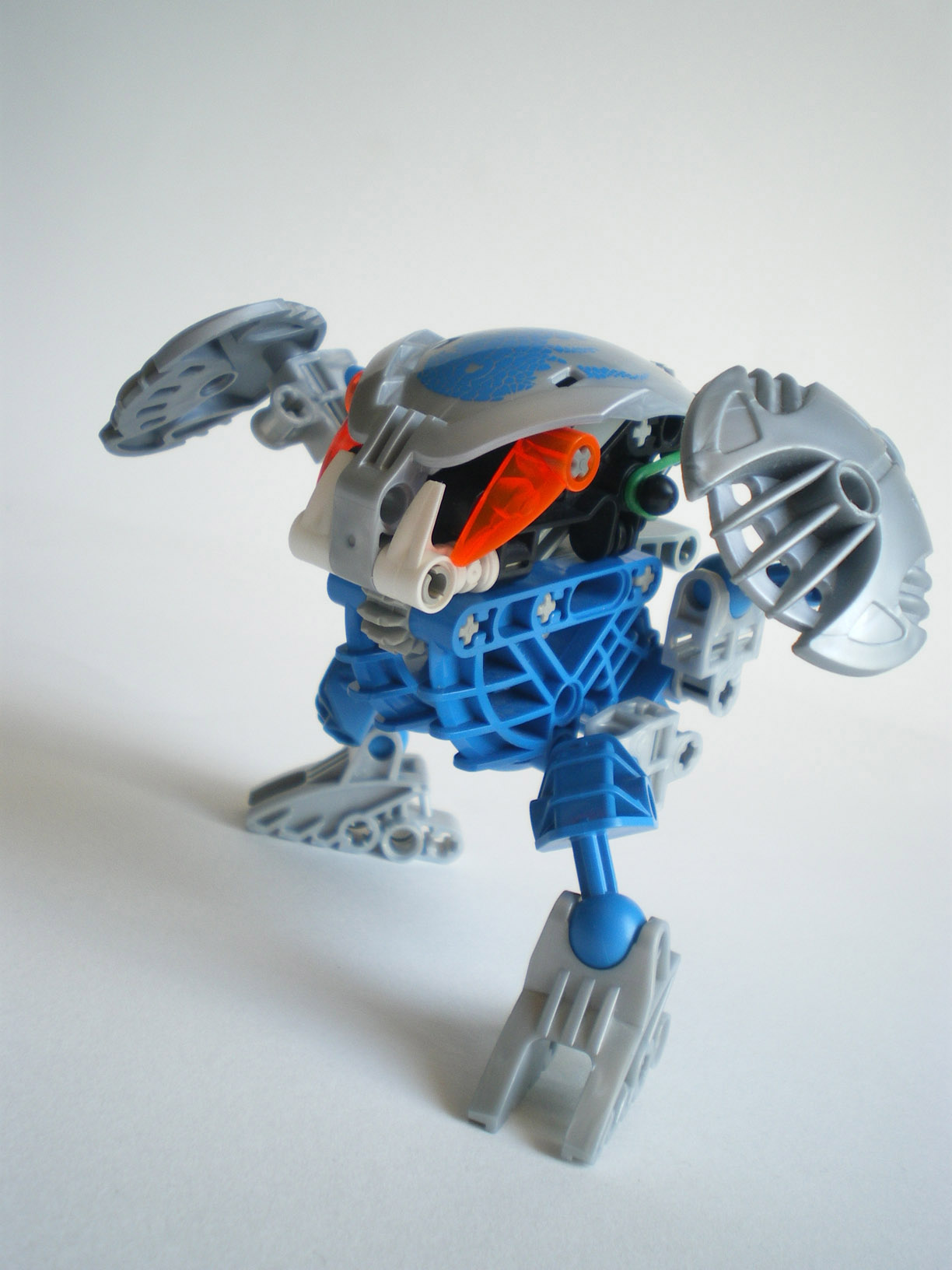 imgp7964.jpg