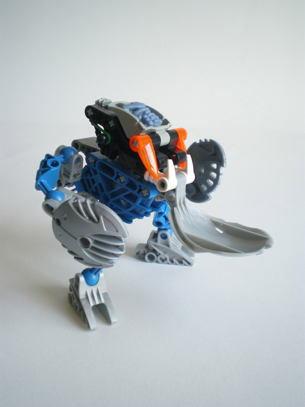 imgp7967.jpg