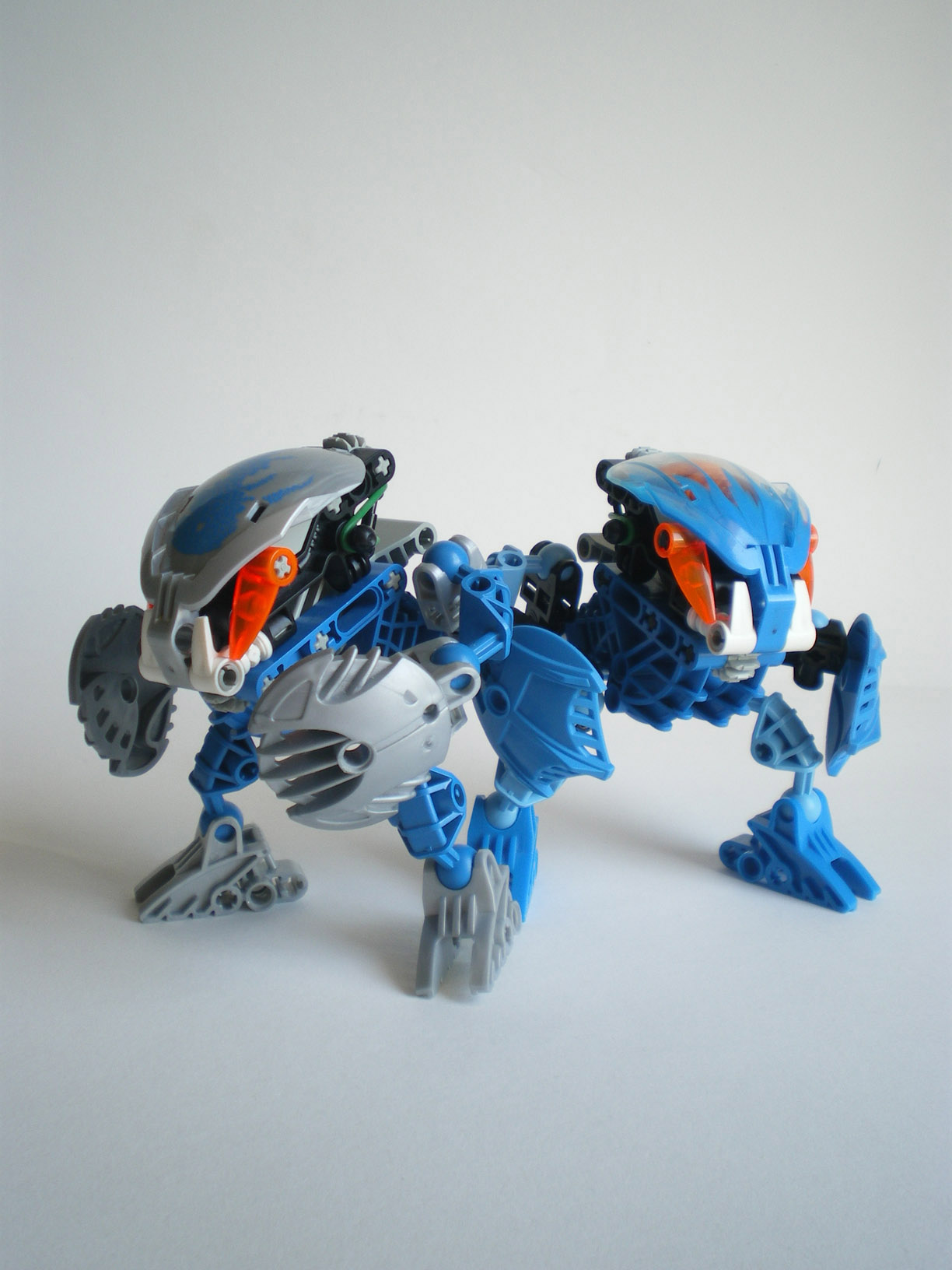 imgp7974.jpg