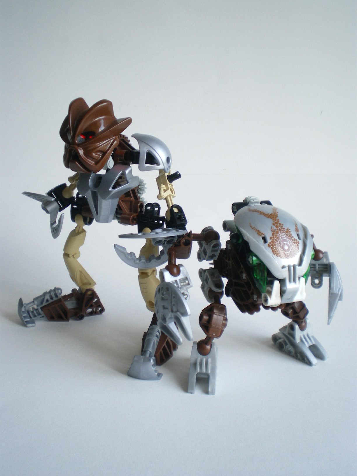 imgp7803.jpg