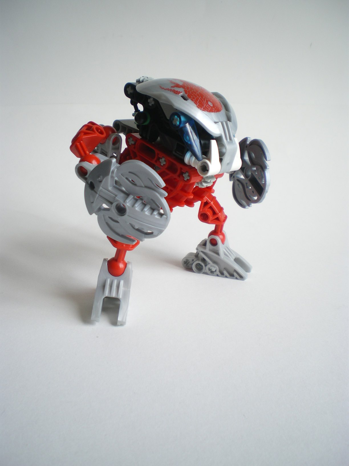 imgp7666.jpg