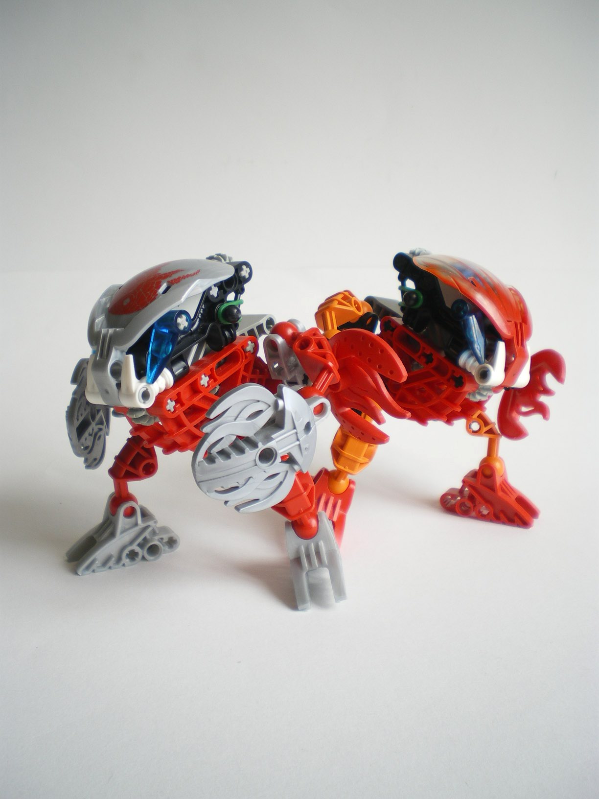 imgp7691.jpg