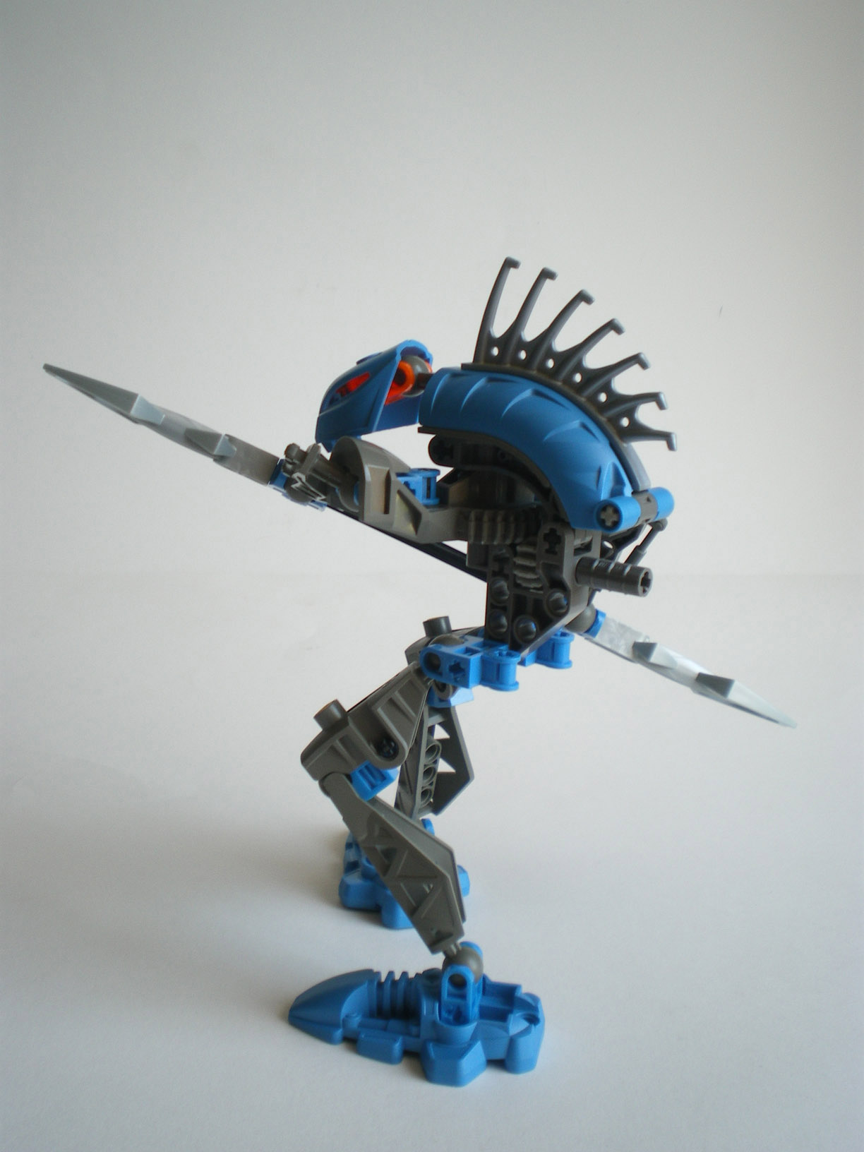 imgp8101.jpg
